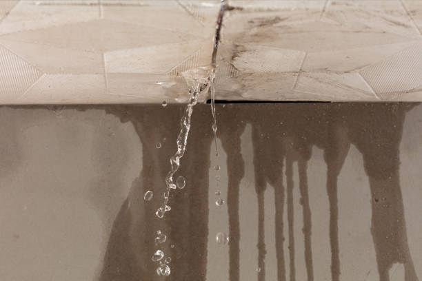 Professional Flood Damage Cleanup technician working in Patton, CA